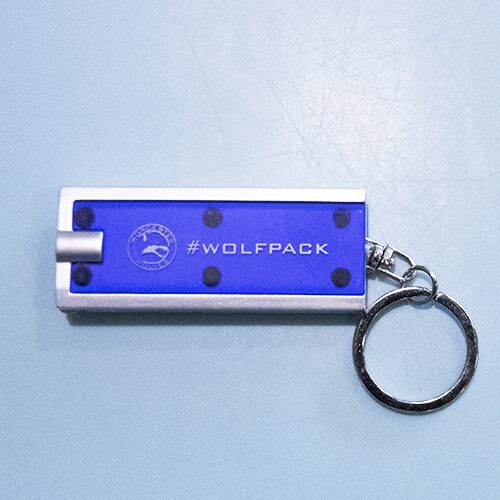 worcester wolves led keyring